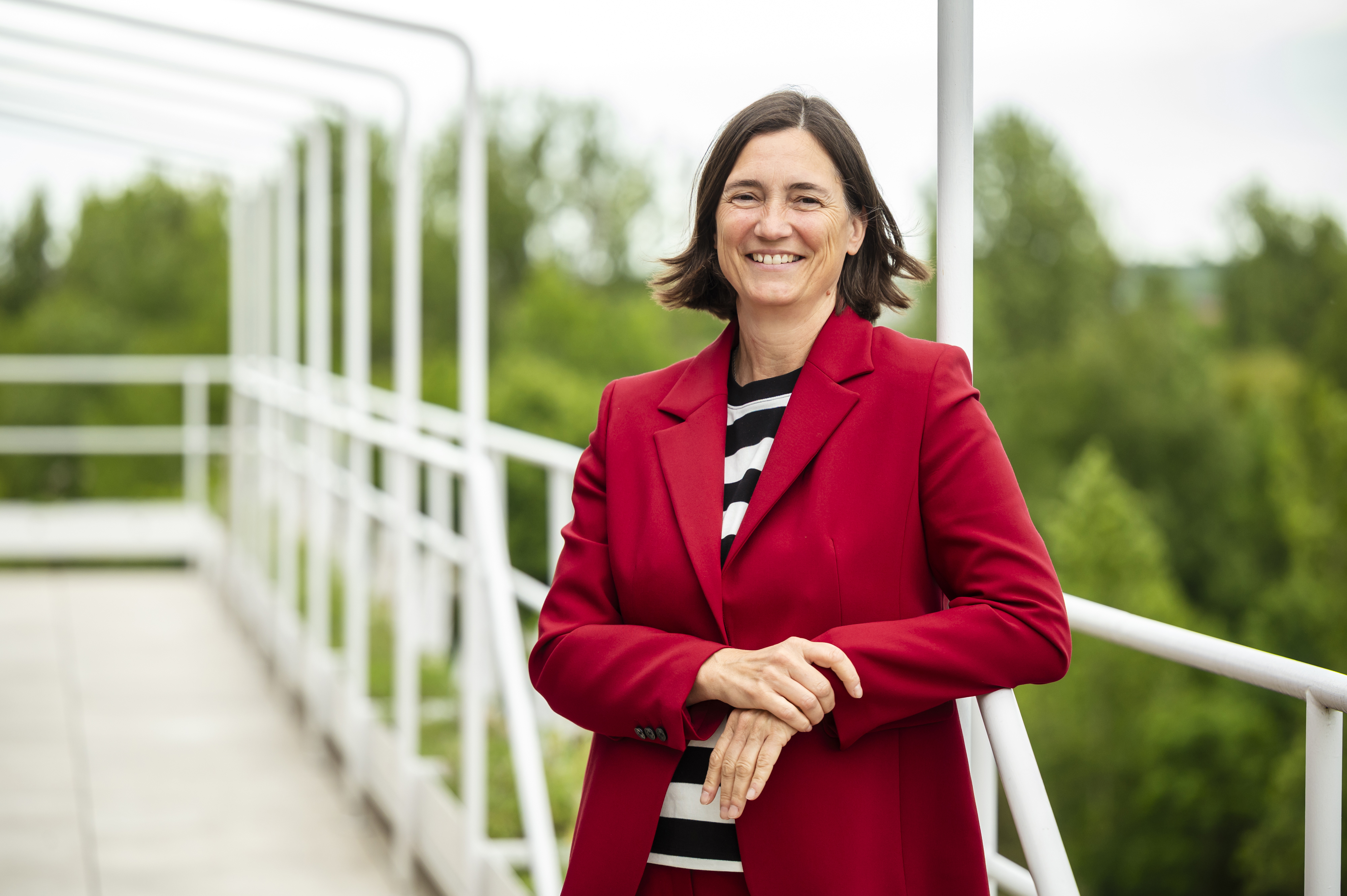 Bildbeschreibungstext